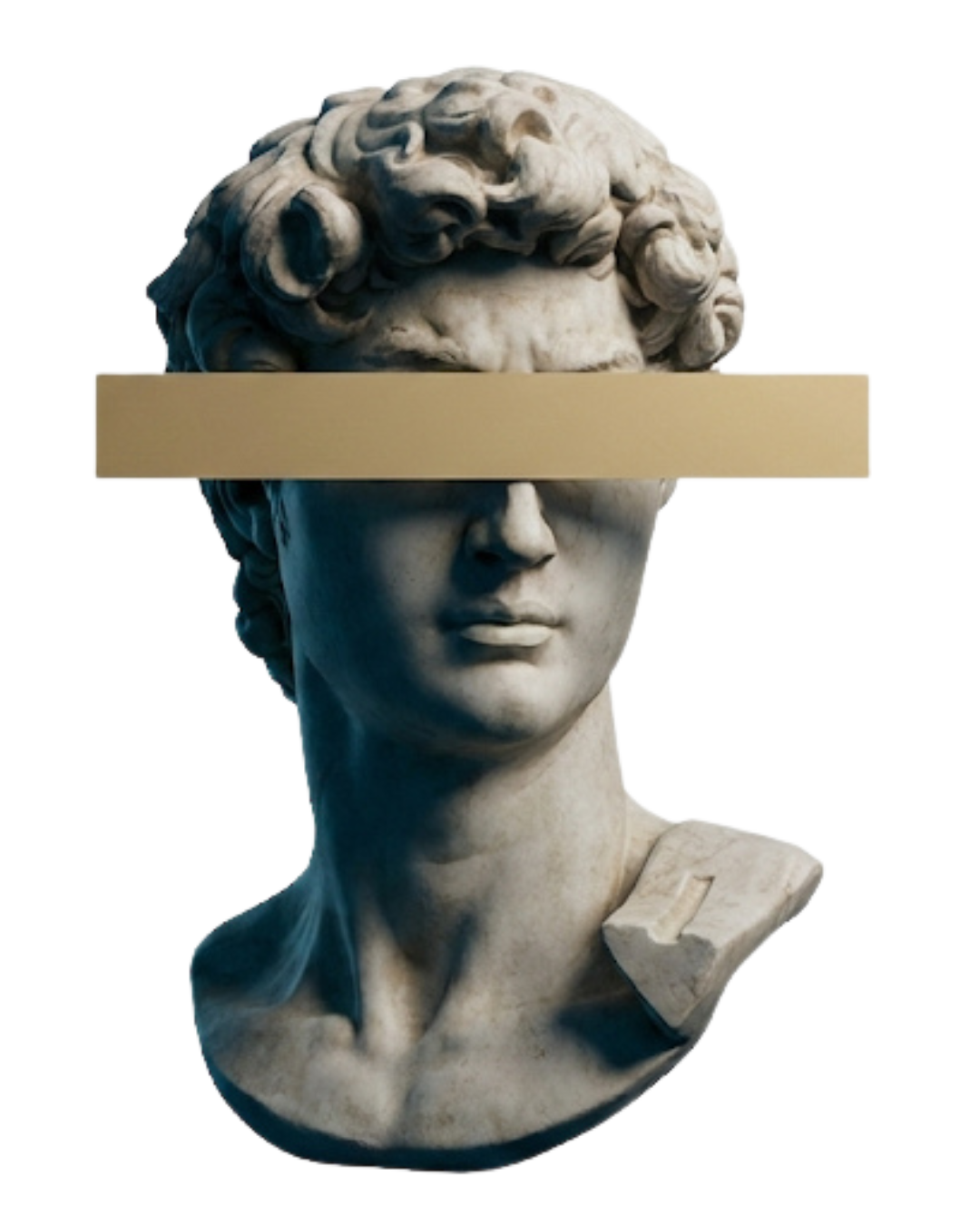Design para Redes